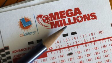 Mega Millions Jackpot Grows To $800 Million After No Grand Prize Winner
