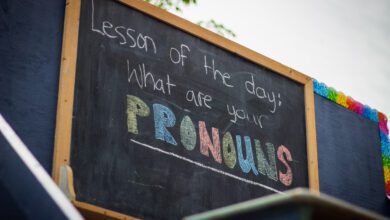 Court To Hear Appeal Arguments Over Challenge To Saskatchewan’s Pronoun Law