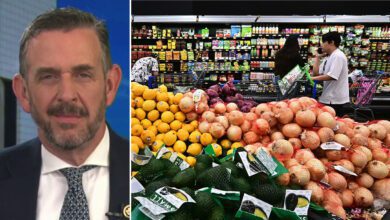 Lawmaker Who Owns Grocery Chain Issues Grim Warning Over Harris' Price Control Plan: 'reckless'