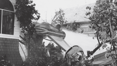 Site Of 1972 Plane Crash That Killed Manitoba Students Commemorated With Memorial