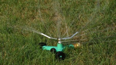 Calgary Bylaw Officers Work Over Long Weekend As Reports Continue Of Water Scofflaws