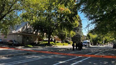 ‘we Feared For His Life’: 5 Year Old Hit By Car Trying To Catch School Bus In Montreal