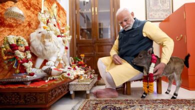 Pm Modi Spends Time With New Member At His Lok Kalyan Marg Residence
