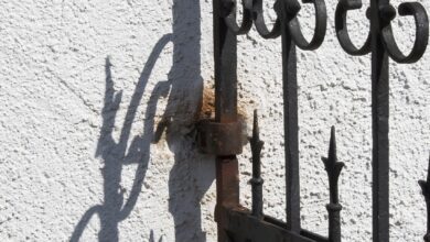 11 Year Old Boy Killed In Bengaluru Park After Iron Gate Falls On Him