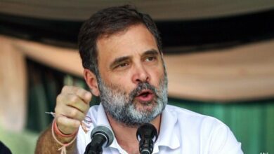 Statehood And Ties Of Blood: Rahul Gandhi's Election Pitch In J&k