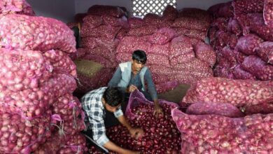 Centre To Begin Onion Sale At This Rate In Delhi From Thursday