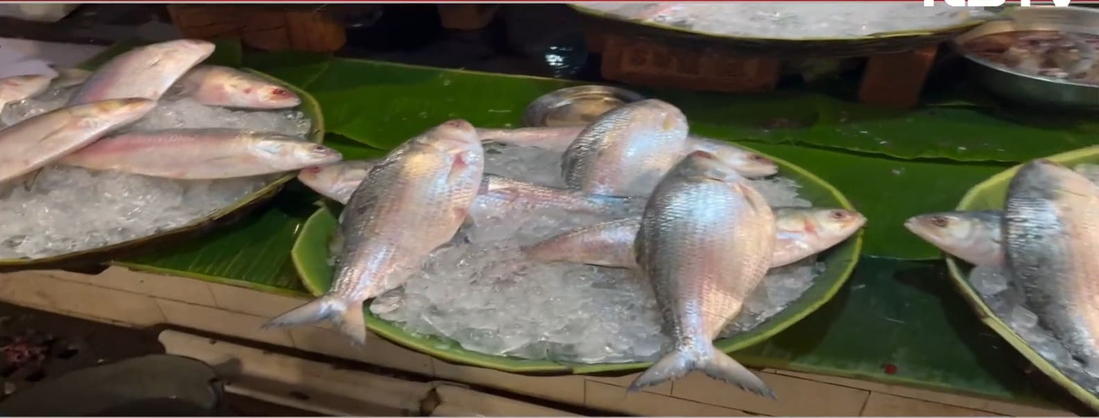 Bangladesh Reverses Ban On Hilsa Fish Export To India Ahead Of Durga Puja