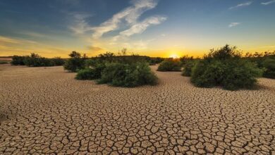 Over 85% Of Indian Districts Exposed To Extreme Climate Events: Study
