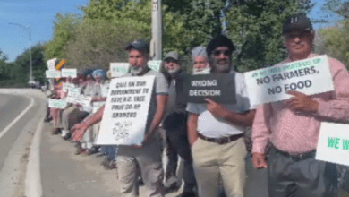 Okanagan Farmers Plead For Government Help In Preserving Bc Tree Fruits Co Op Assets