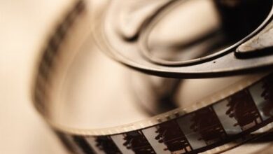 38th Edmonton International Film Festival Invites Attendees To ‘leave Different’