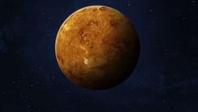 Venus, Moon Missions Get Approval In India's Biggest Push For Space