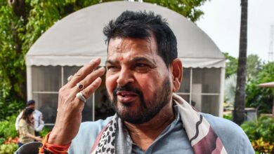 Brij Bhushan's "conspiracy" Charge After Vinesh Phogat Joins Congress