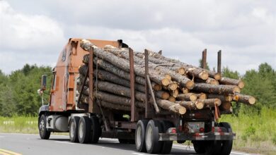 Saskatchewan Government Issues New Timber Allocations To Support Upstart Mill