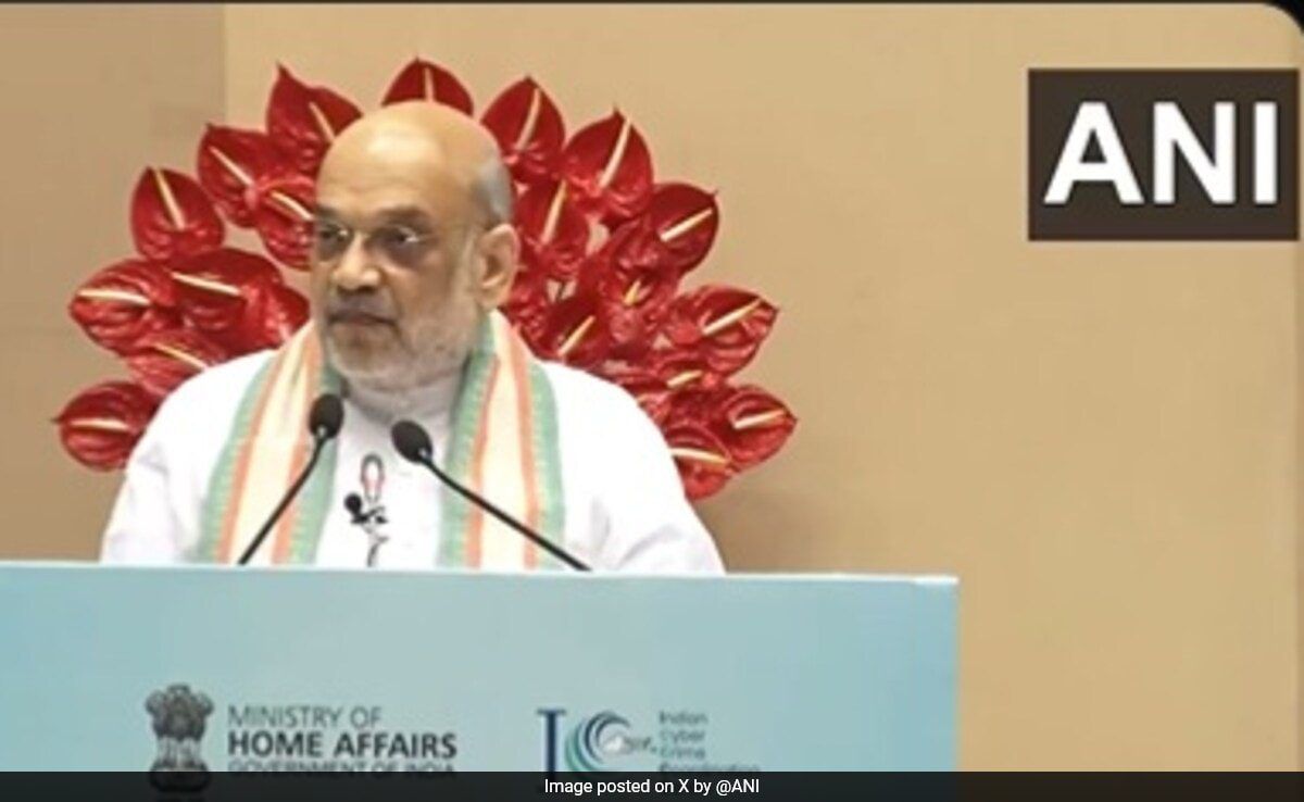 Country's Progress Impossible Without Cybersecurity: Amit Shah