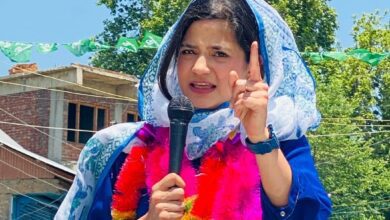 "if People Accept Me, Fine": Mehbooba Mufti's Daughter On Poll Debut