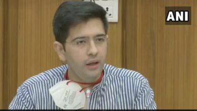 "can't Form Government Without...": Aap's Target For Haryana X