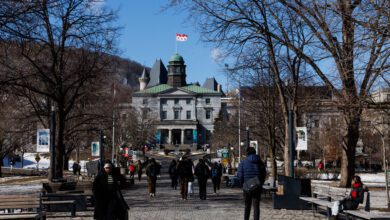 International Student Enrolment Down 45 Per Cent, Universities Canada Says