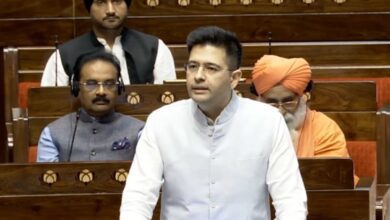 Aap Mp Raghav Chadha Counters Cbi's Argument In Arvind Kejriwal Bail Plea