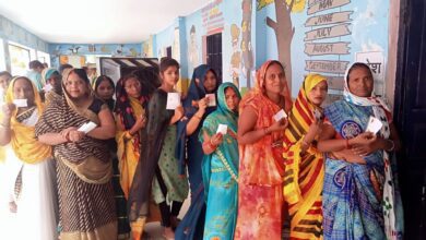 Panel On Simultaneous Polls Studied Process In Sweden, Germany, Japan