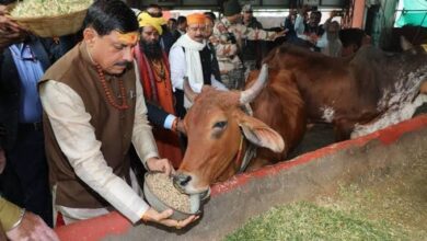 Dairy Agreement Next Flashpoint Between Congress, Bjp In Madhya Pradesh