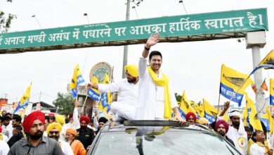 "like Mirchi Sunne Waale...": Aap Mp Raghav Chadha's Pitch For Haryana Polls