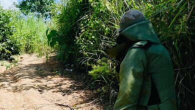 Army, Police Find 28 Kg Ieds In Major Joint Operation In Manipur