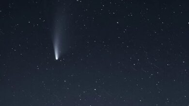 Moon's Seismic Activity Likely Linked To Past Meteorite Impacts, Says Isro