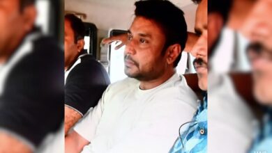 'shocks Given To Private Parts': Chargesheet Against Actor In Murder Case