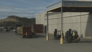 Farmers Hopeful Bc Tree Fruits Can Be Saved Despite Private Company Setting Up At Former Site