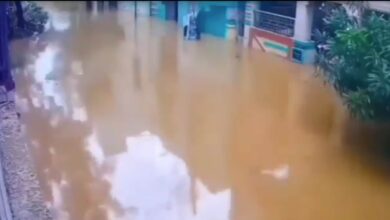 Dramatic Video Of Vijayawada Street Flooding, 4 Feet Of Water In 3 Hours