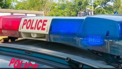 Man Kills 6 Year Old Son, Then Himself While Wife Escapes: Police