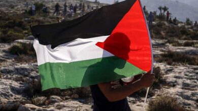 Nothing Wrong In Holding, Moving With Palestinian Flag: Karnataka Minister