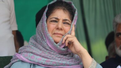 Bjp Proxy: Mehbooba Mufti's Strong Comment On Engineer Rashid's Party