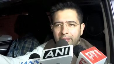 "if No Win Win...": Aap Leader Over Haryana Alliance Talks With Congress