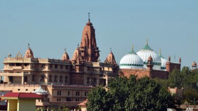 Top Court To Hear Mosque Committee's Plea In Mathura Land Dispute Case