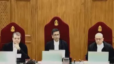 Were 2 Firs Filed In Kolkata Rape Murder Case? Petitioner Says Possible