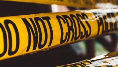 7 Killed In Truck Auto Rickshaw Collision In Madhya Pradesh: Police