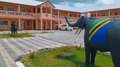 Airtel Africa Fellowship To Benefit Students At Iit Madras Zanzibar