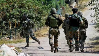 Infiltration Bid Foiled In Jammu And Kashmir, 2 Terrorists Killed