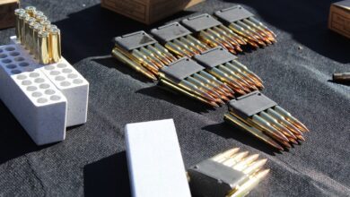 500 Sniper Rifle Bullets Seized During Routine Traffic Check In Delhi: Cops