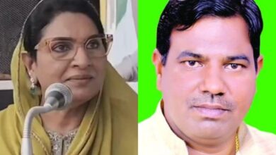 Dushyant Chautala's Mother's "2 Faced Snake" Attack On Rebel Who Joined Bjp
