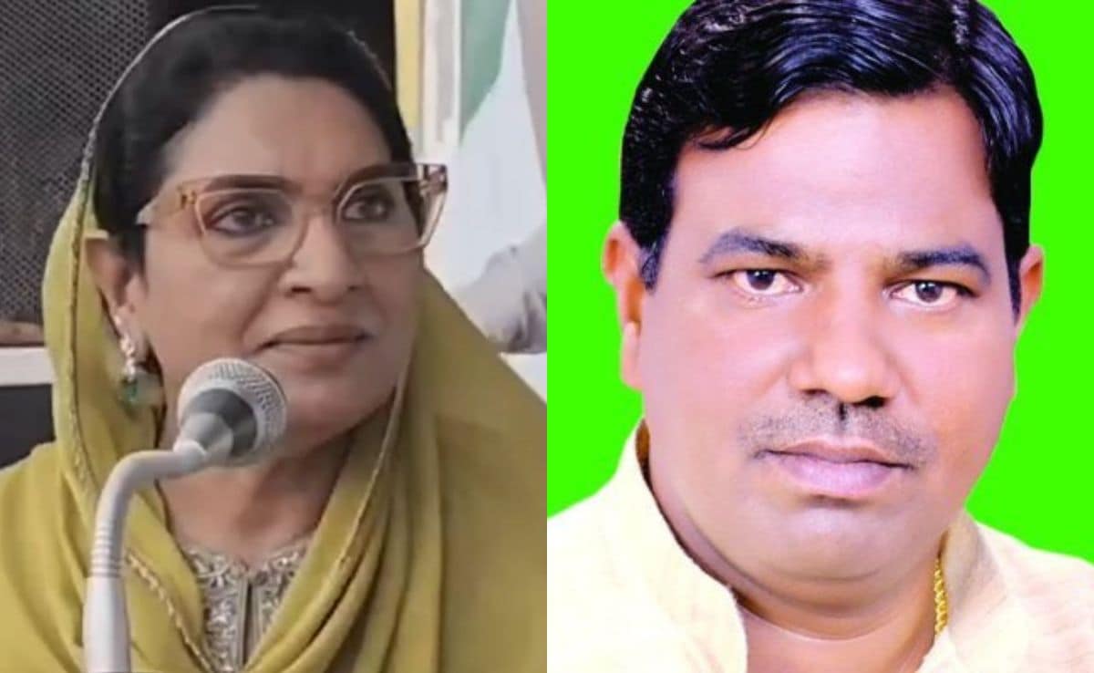 Dushyant Chautala's Mother's "2 Faced Snake" Attack On Rebel Who Joined Bjp