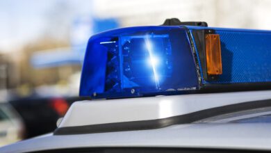 15 Year Old Killed After Driving Car Into Power Pole, Tree: N.s. Police