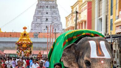 Karnataka Milk Body Using Gps To Track Ghee For Tirupati Amid Laddoo Row