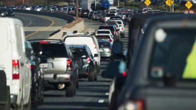 Study Explains How Traffic Noise, Pollution Are Linked To Infertility