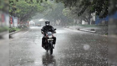 117 Roads Closed In Himachal Due To Heavy Rain, Flash Flood Warning For Shimla