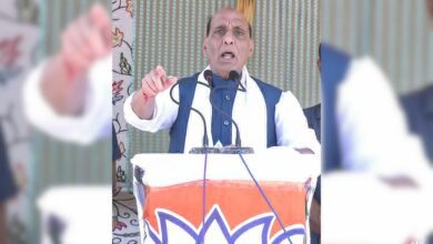 Hemant Soren Played With India's Healthy Democratic Practices: Minister