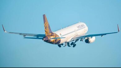 Mumbai Frankfurt Vistara Flight Lands Safely In Turkey After Diversion