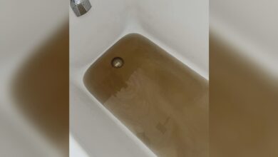 ‘brown, Stinky Water’ Still Plagues West Kelowna Residents