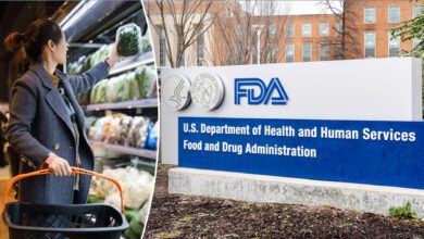 Severity Of Various Fda Product Recalls Including Class I Which Can Cause Death, Serious Illness